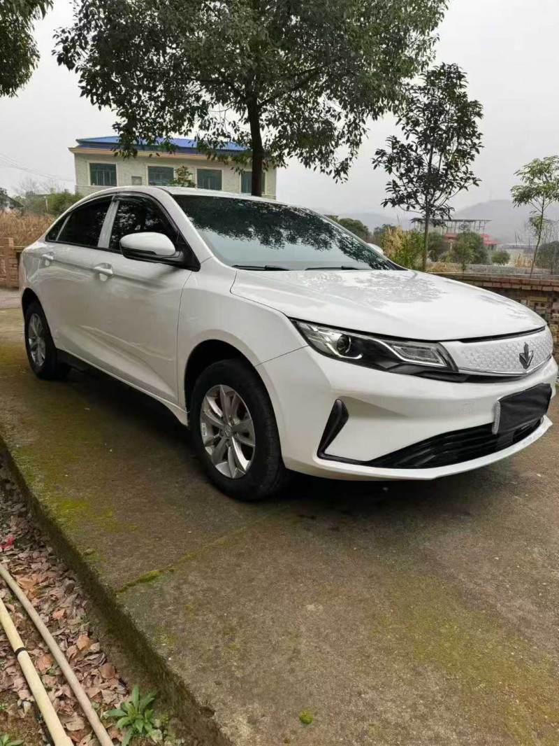 萍乡23年吉利枫叶3