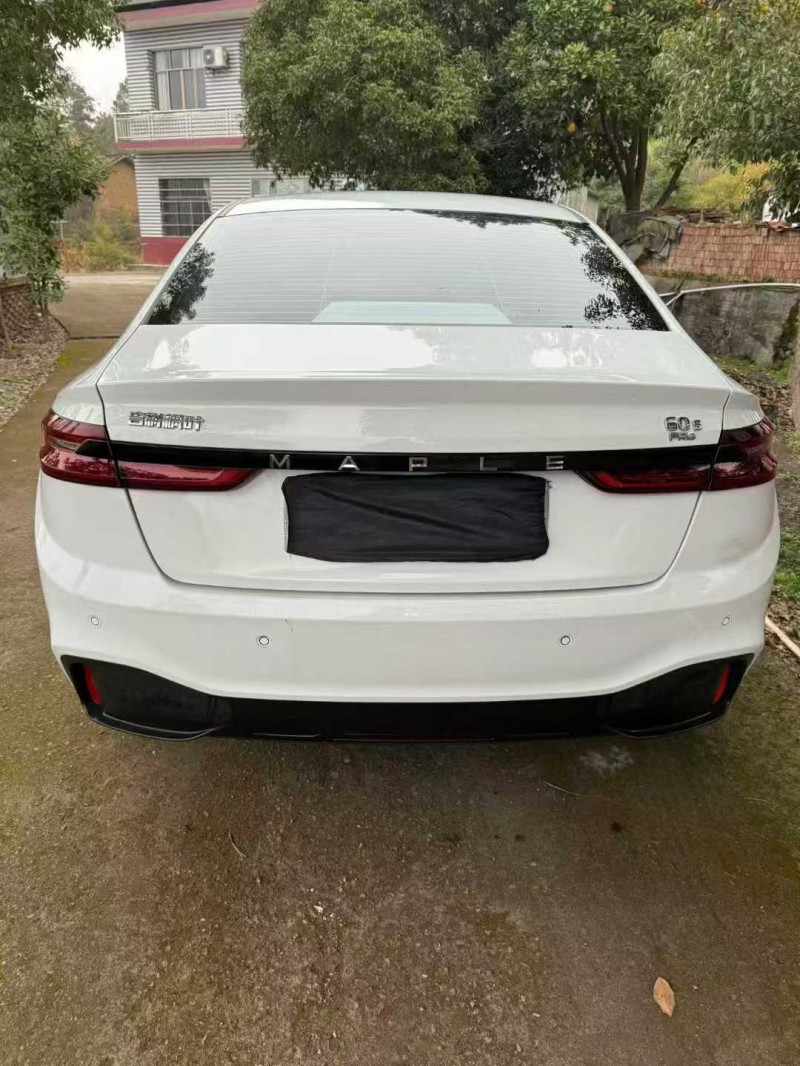 萍乡23年吉利枫叶4