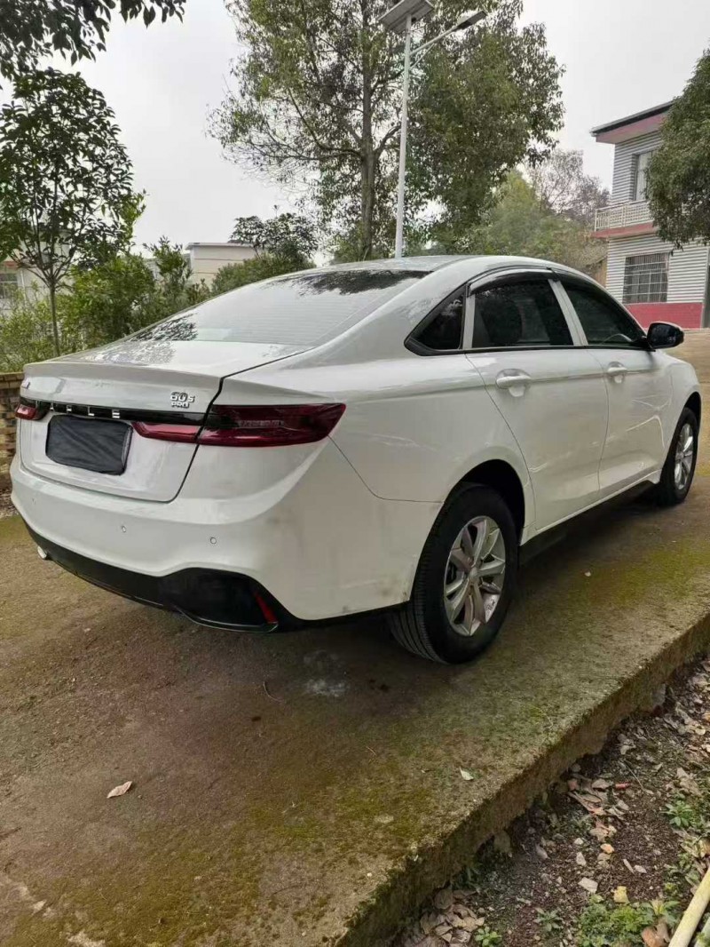 萍乡23年吉利枫叶5