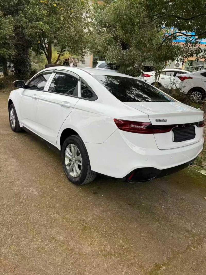 萍乡23年吉利枫叶6