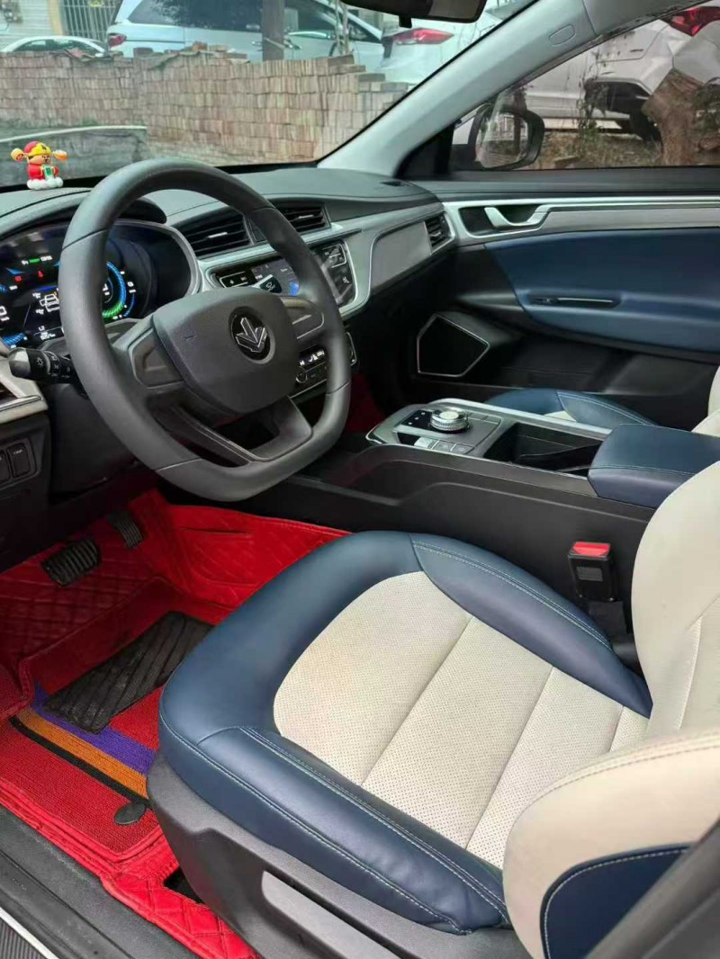 萍乡23年吉利枫叶8