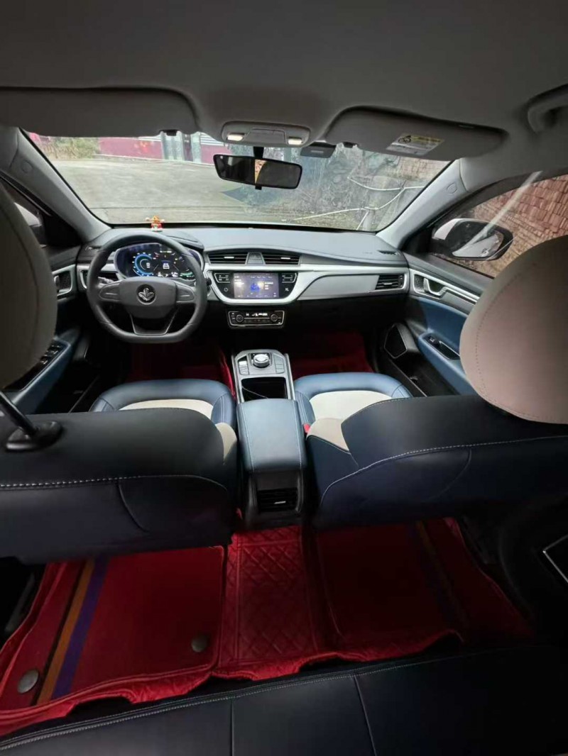 萍乡23年吉利枫叶9