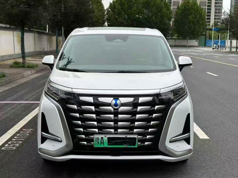 鄭州23年騰勢D91