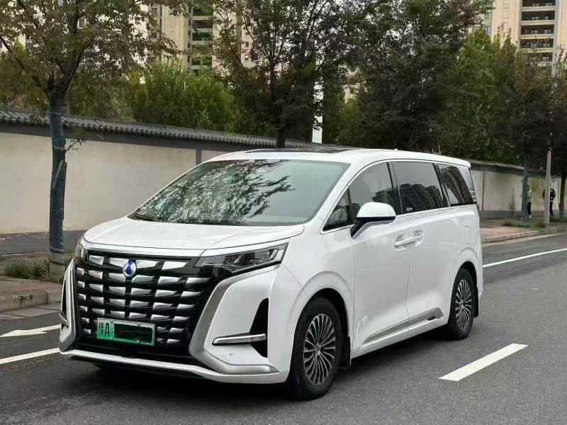 鄭州23年騰勢D93