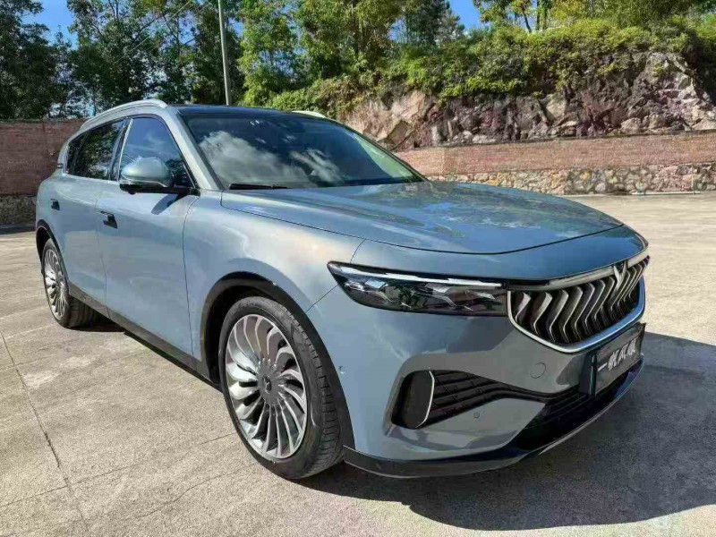 湛江22年岚图汽车FREE2