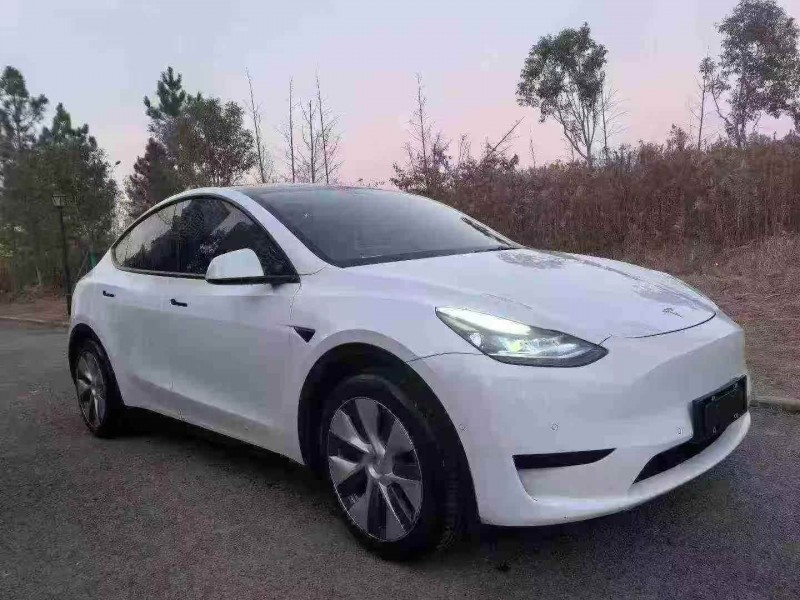 鄂州22年特斯拉MODEL Y3