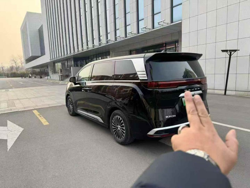 枣庄24年腾势D98