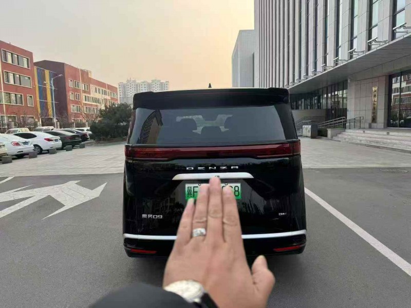 枣庄24年腾势D99