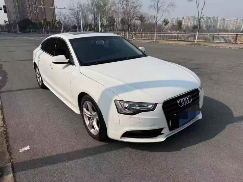 枣庄15年奥迪A52