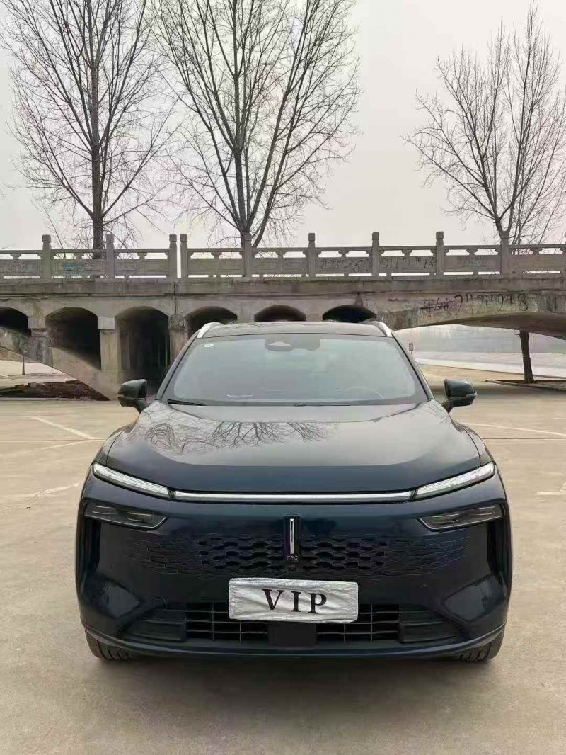 菏泽24年长城汽车魏牌1