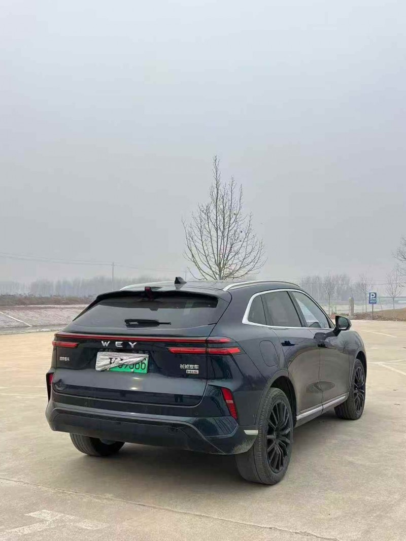 菏泽24年长城汽车魏牌7