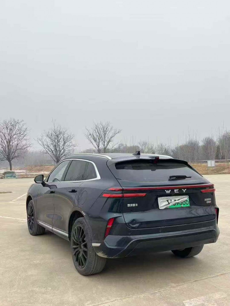 菏泽24年长城汽车魏牌8