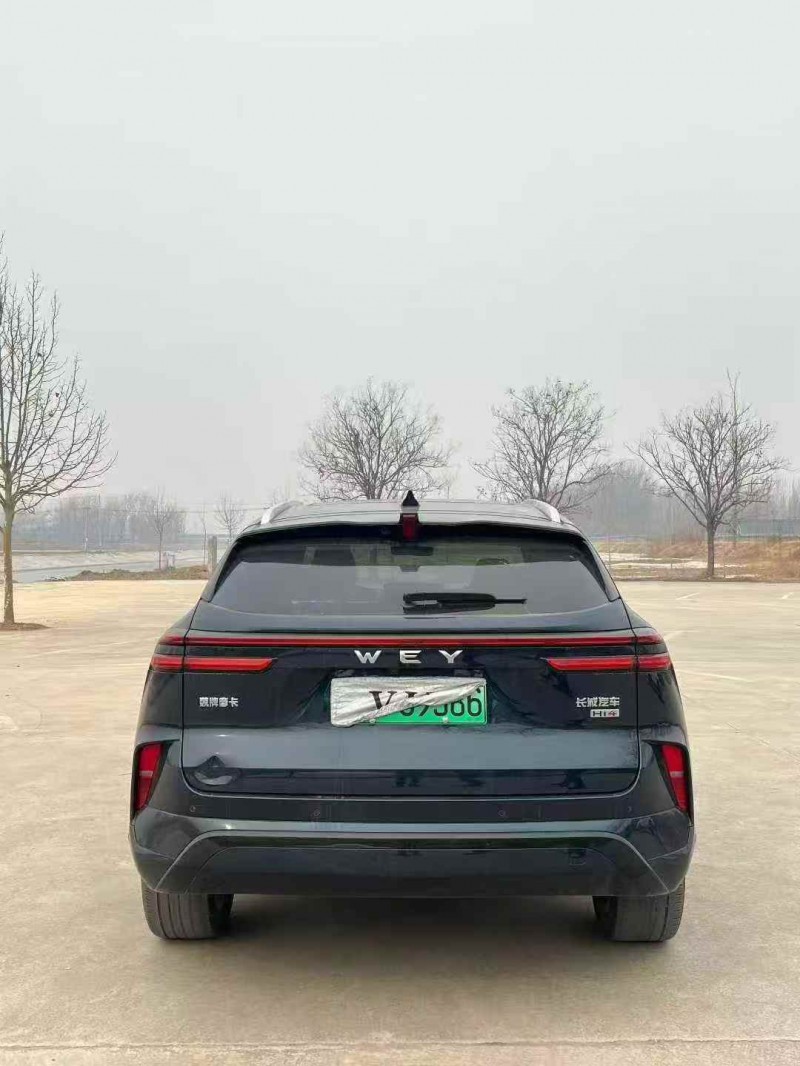 菏泽24年长城汽车魏牌9