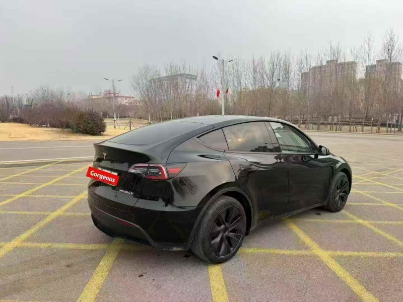 济宁24年特斯拉MODEL Y8