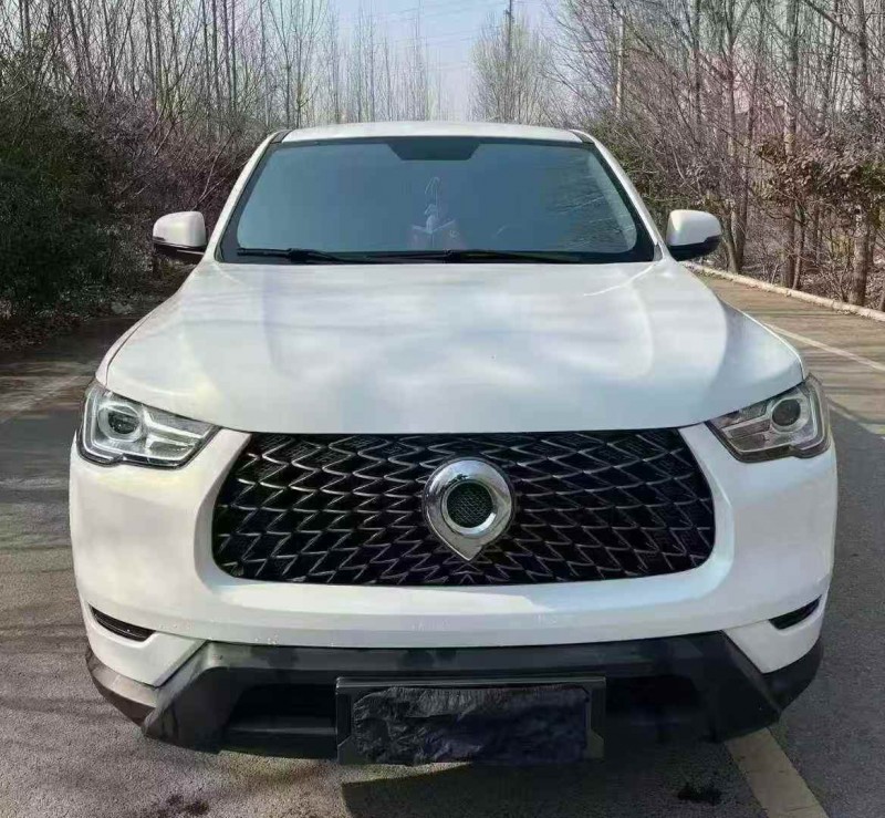 潍坊22年长城汽车炮 皮卡1