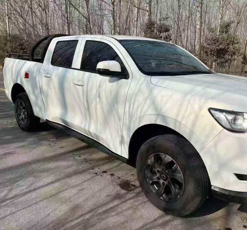 潍坊22年长城汽车炮 皮卡2