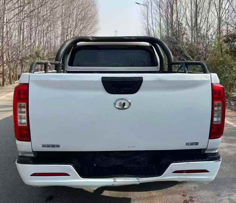 潍坊22年长城汽车炮 皮卡9