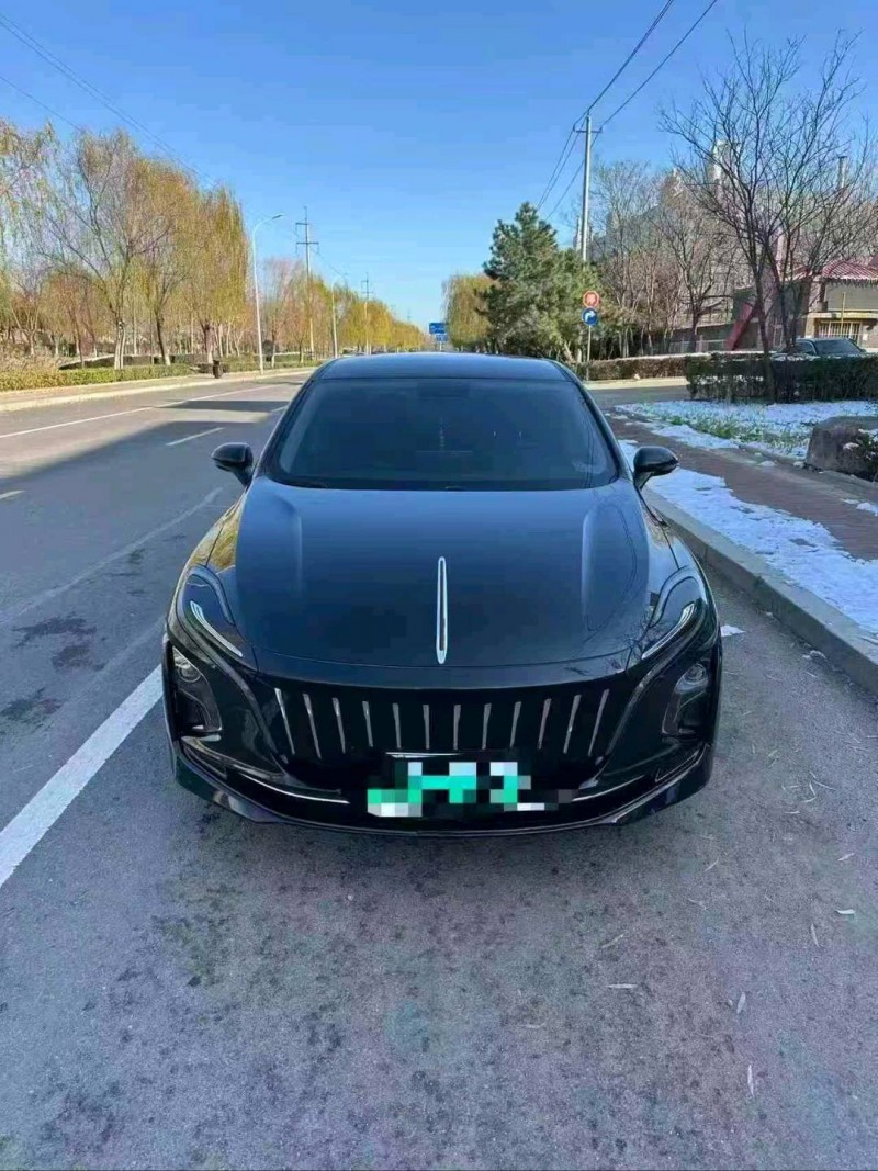 烟台24年红旗E-QM51