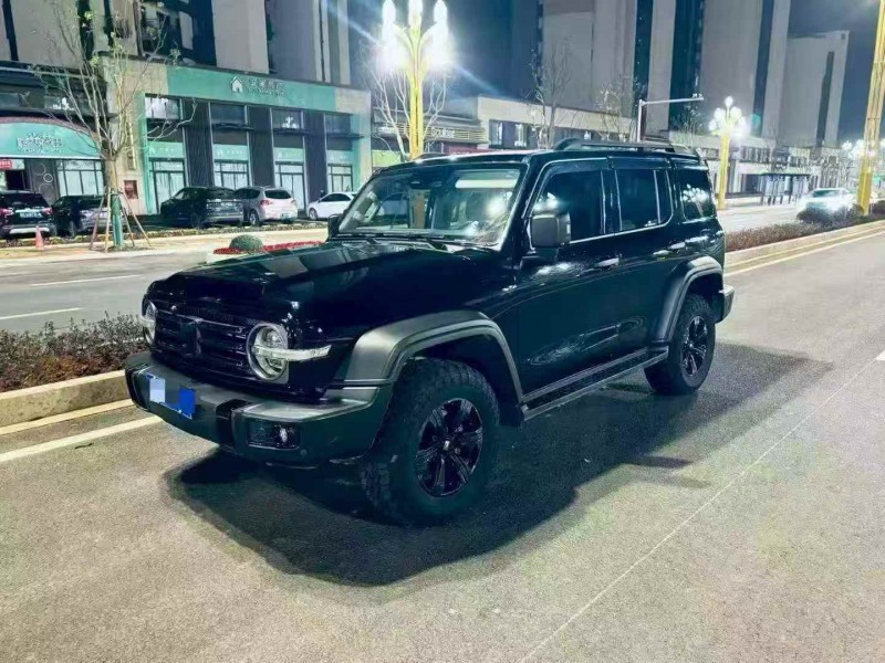 九江24年长城汽车坦克2