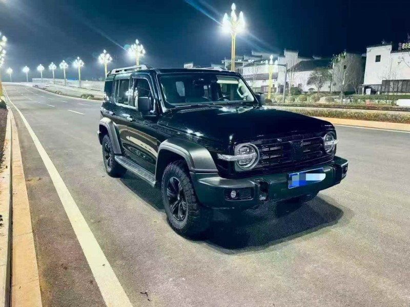 九江24年长城汽车坦克3