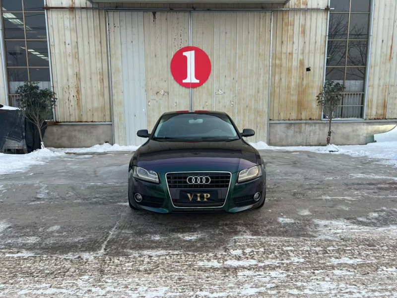 徐州10年奥迪A51