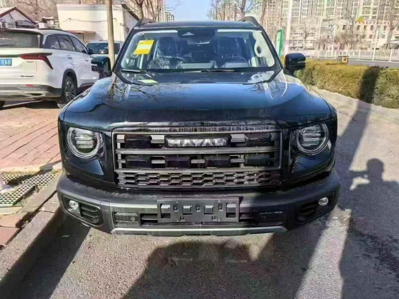 保定26年哈弗大狗1