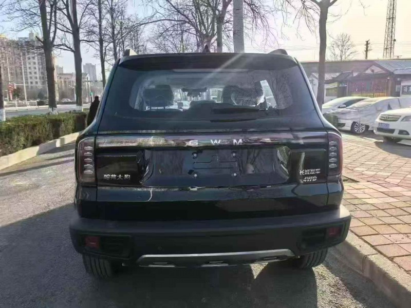 保定26年哈弗大狗9