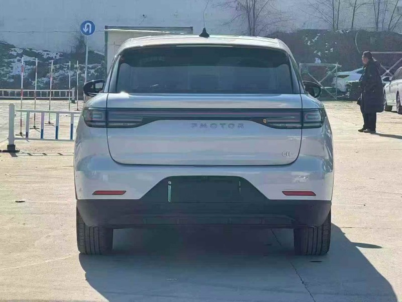 淄博24年零跑汽车C119