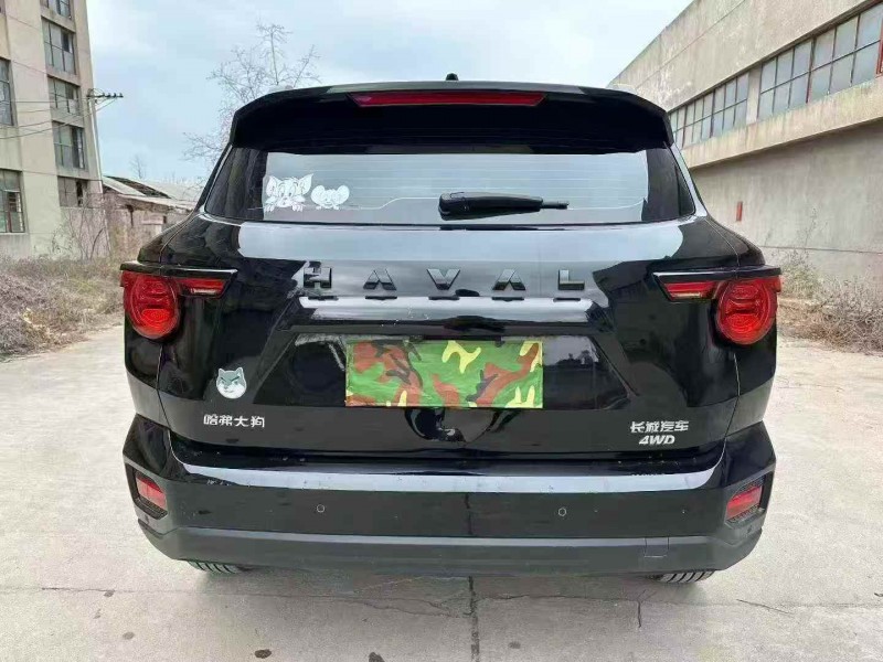 枣庄24年哈弗大狗9