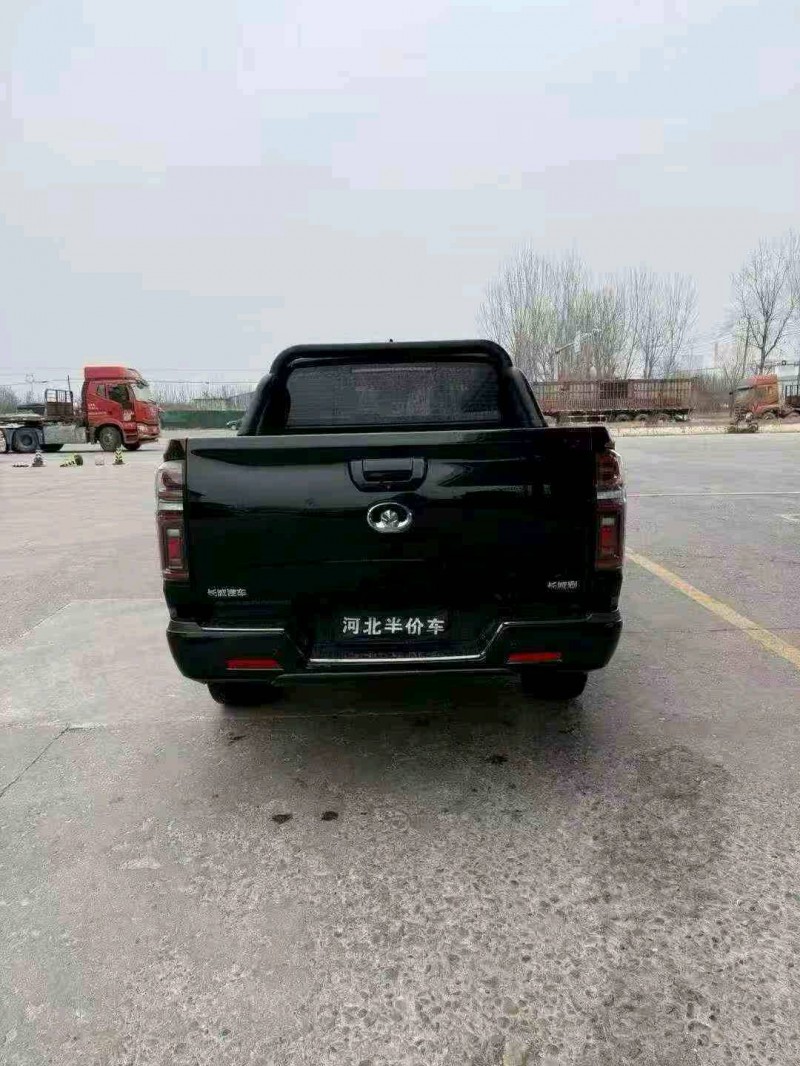 承德21年长城汽车炮 皮卡9