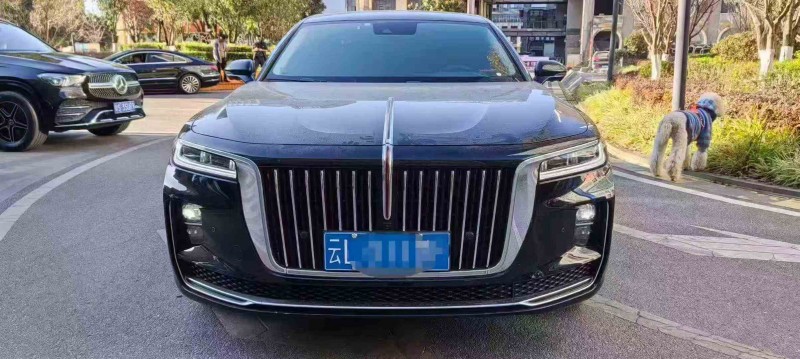 昭通23年红旗H91