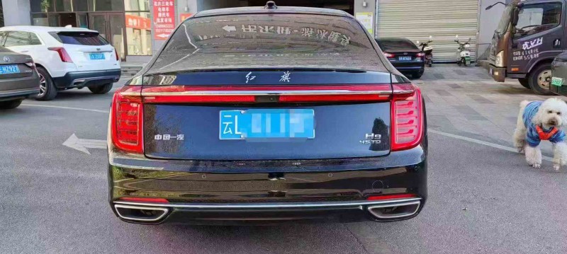 昭通23年红旗H99