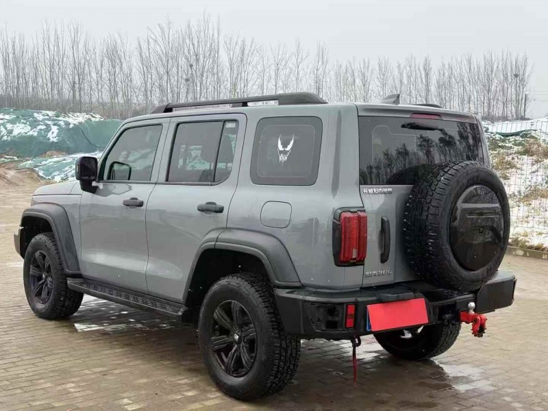 鹤壁24年长城汽车坦克6