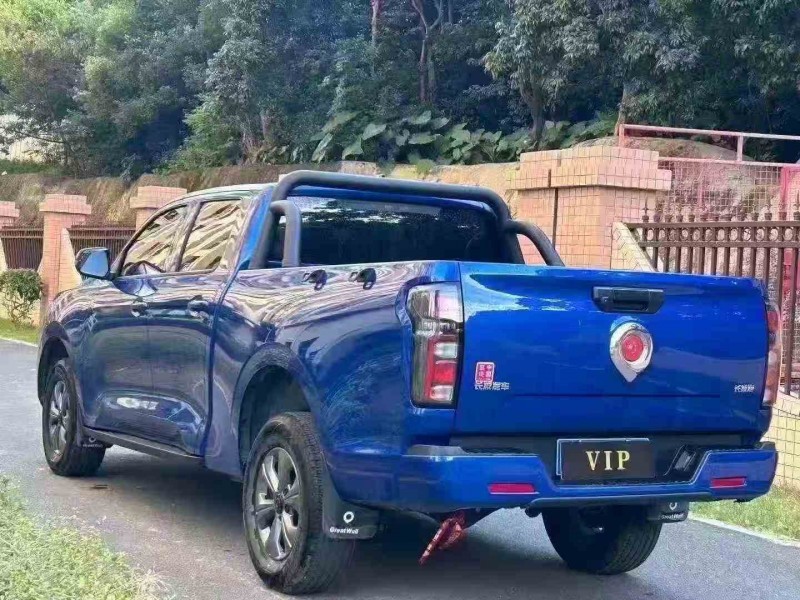 江门25年长城汽车炮 皮卡7