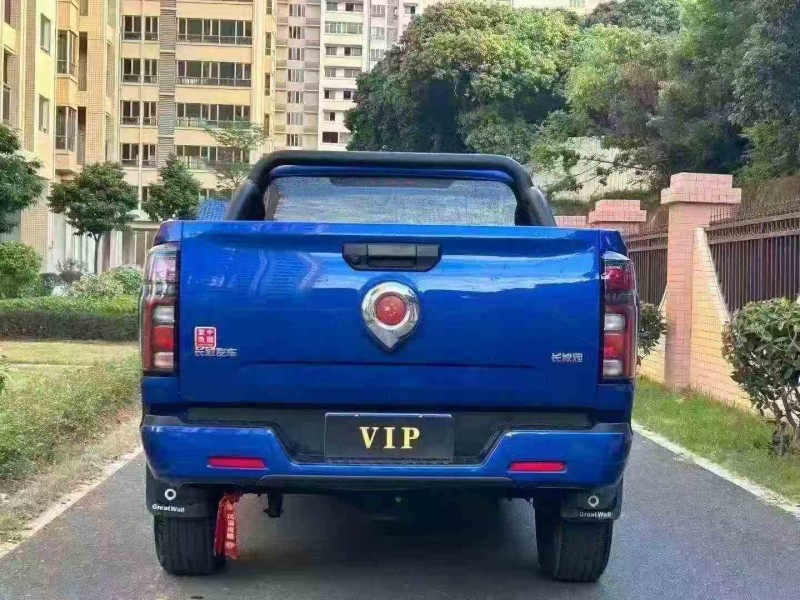江门25年长城汽车炮 皮卡9