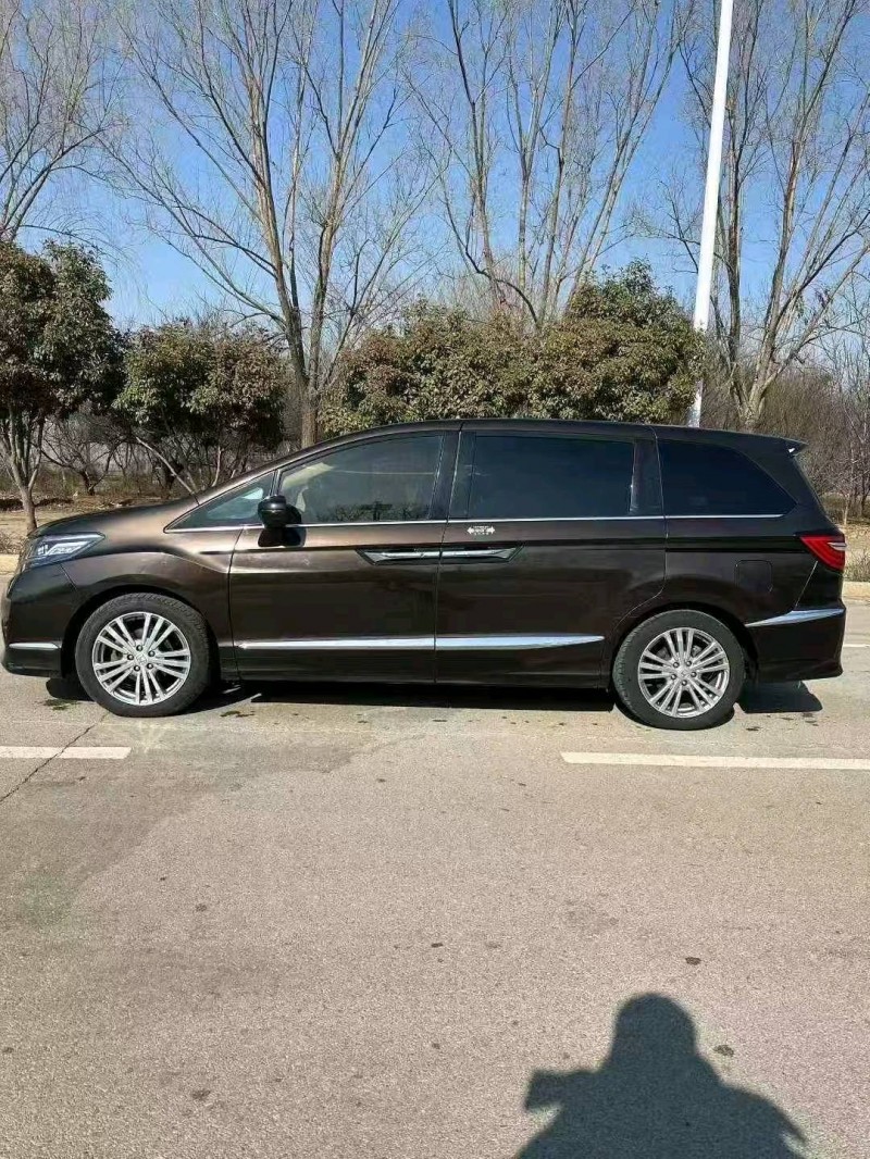 枣庄16年本田艾力绅7