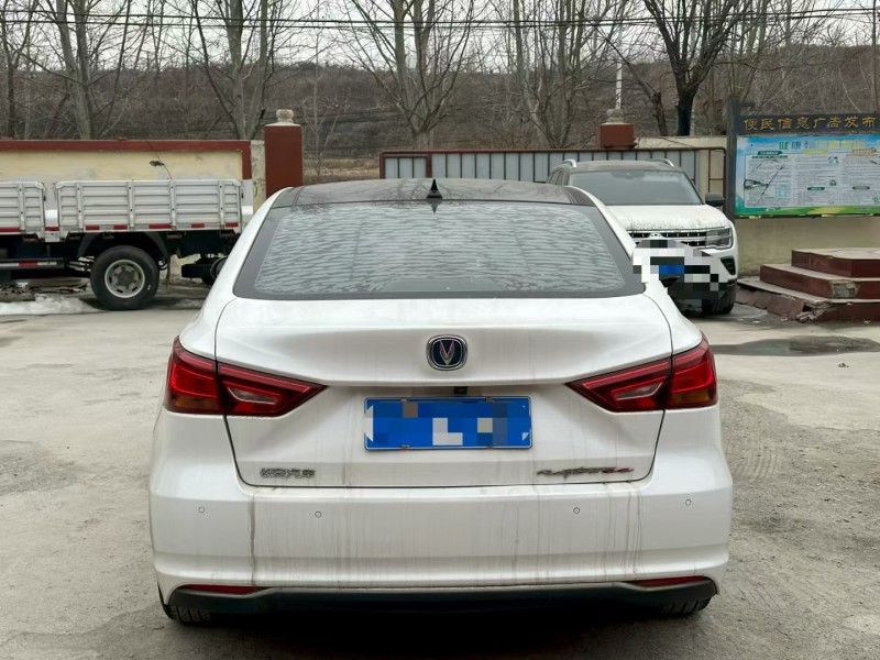 淄博19年长安汽车睿骋9