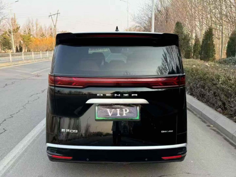 滨州24年腾势D94