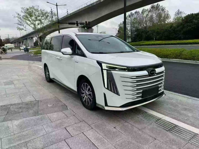 湖州23年传祺E9MAX2