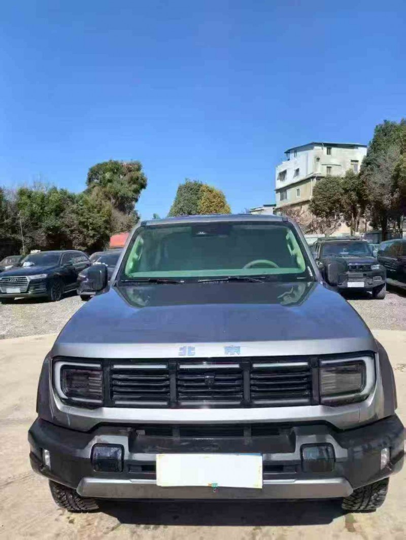 昭通25年北京BJ401