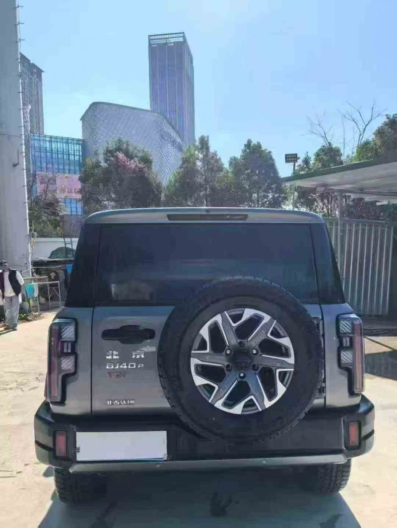 昭通25年北京BJ407