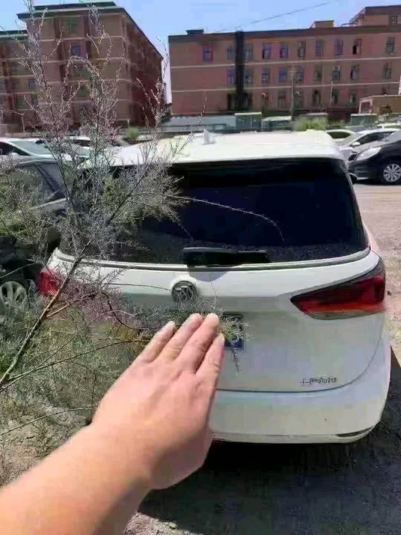 菏泽19年别克GL66