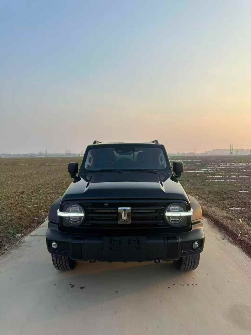 淄博23年长城汽车坦克1