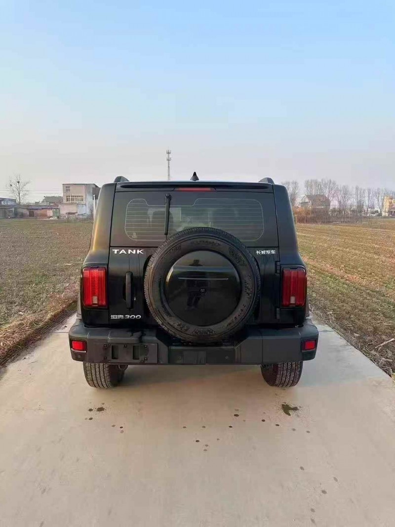 淄博23年长城汽车坦克9