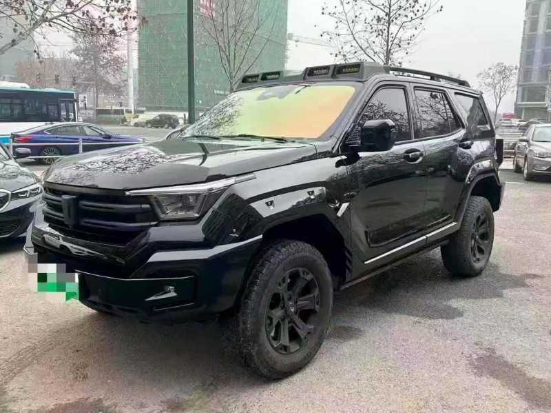 常德24年长城汽车坦克2