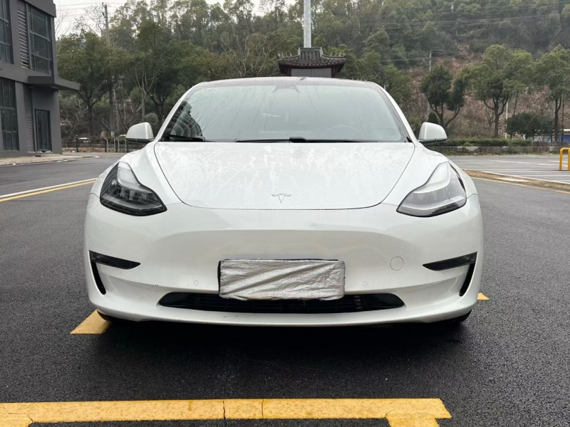 岳阳19年特斯拉MODEL 31