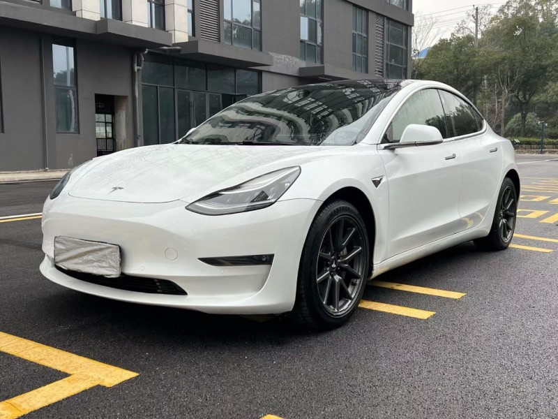 岳阳19年特斯拉MODEL 33