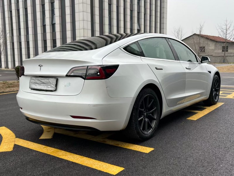 岳阳19年特斯拉MODEL 34