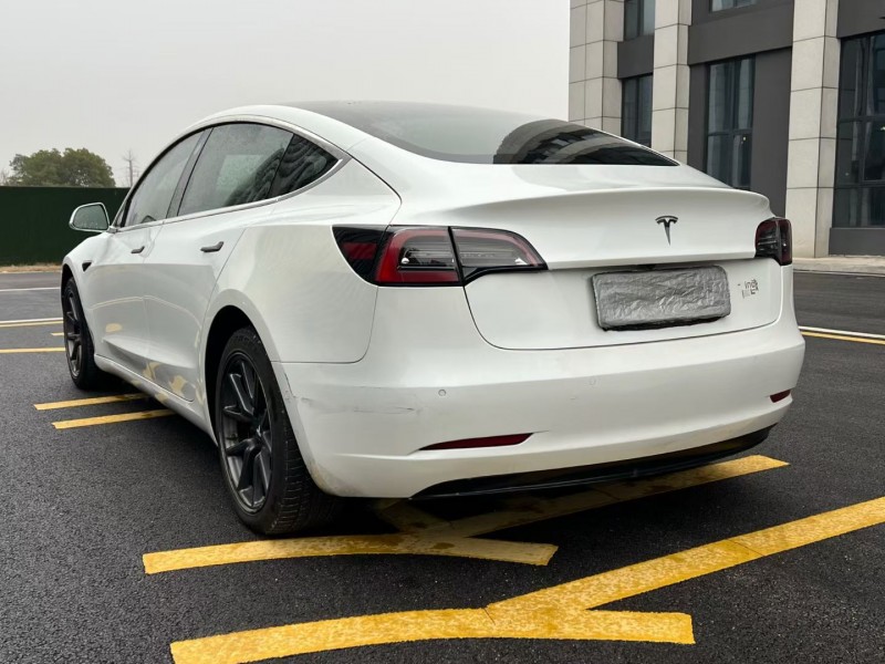 岳阳19年特斯拉MODEL 36