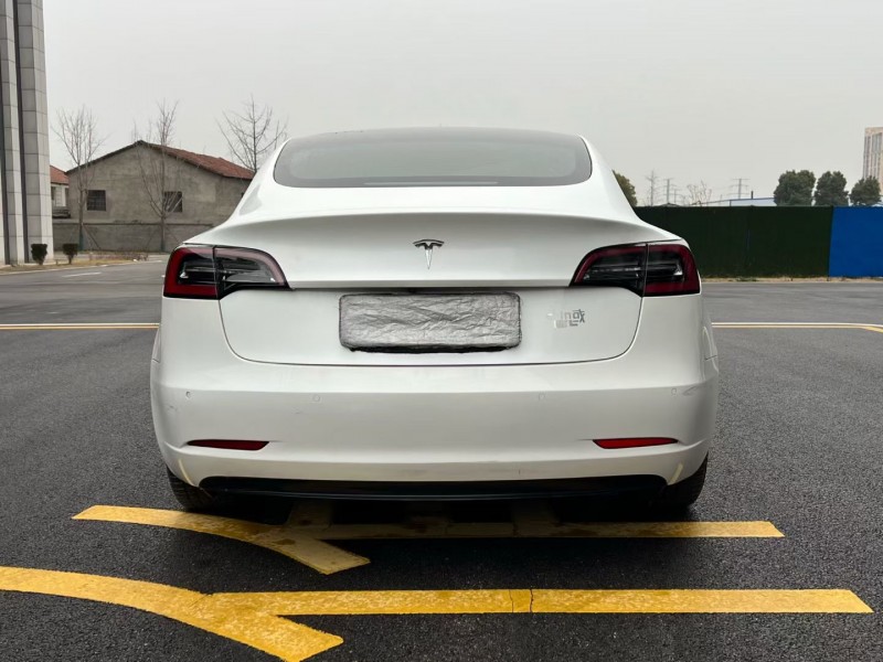 岳阳19年特斯拉MODEL 37